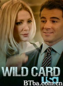 完美搭档 Wild Card (2011) 720P BT磁力 迅雷网盘下载