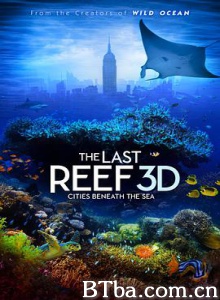 最后的珊瑚礁 珊瑚礁：消失的海底之城(港) 最后的珊瑚 The Last Reef: Cities Beneath the Sea (2012) 4K BT磁力 迅雷网盘下载