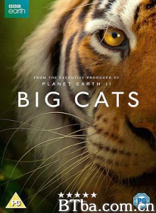 大猫 Big Cats (2018) 1080P BT磁力 迅雷网盘下载-影音屋