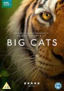 大猫/Big Cats
