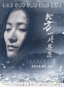 北方一片苍茫 小寡妇成仙记 Mirrors and Feathers (2018) 1080P/4K BT磁力 迅雷网盘下载