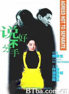 说好不分手 Never Say Divorce (1999) 1080P/720P BT磁力 迅雷网盘下载