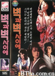 壁之间 벽과 벽 사이에 Between Walls (1986)  BT磁力 迅雷网盘下载