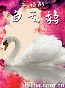 幸福的白天鹅 (2011) 1080P BT磁力 迅雷网盘下载