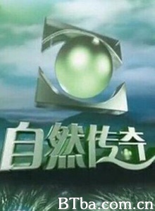 自然传奇 Natural Legend (2000) 1080P BT磁力 迅雷网盘下载