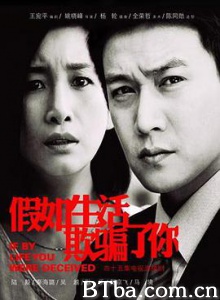 假如生活欺骗了你 银婚 If Life Cheats You (2013) 1080P BT磁力 迅雷网盘下载