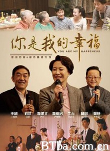 你是我的幸福 (2011) 1080P BT磁力 迅雷网盘下载