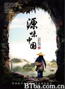 源味中国 (2018) 1080P BT磁力 迅雷网盘下载-影音屋
