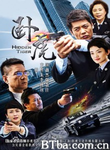 卧虎 Hidden Tiger (2016) 1080P BT磁力 迅雷网盘下载