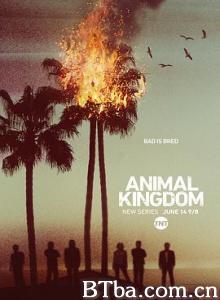 野兽家族 第一季 动物王国 Animal Kingdom Season 1 (2016) 1080P/720P BT磁力 迅雷网盘下载