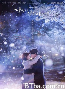 当你沉睡时 你睡着的时候 在你沉睡时 당신이 잠든 사이에 (2017) 1080P BT磁力 迅雷网盘下载
