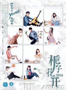 栀子花开2017 栀子花开网剧 (2017) 1080P BT磁力 迅雷网盘下载