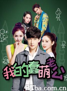 我的蠢萌老公 e时代天使 美丽e时代 (2016) 1080P BT磁力 迅雷网盘下载