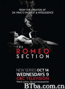 罗密欧间谍 The Romeo Section (2015) 1080P/720P BT磁力 迅雷网盘下载