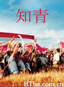知青 (2012) 1080P BT磁力 迅雷网盘下载
