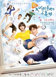 致我们单纯的小美好 A Love So Beautiful (2017) 1080P BT磁力 迅雷网盘下载