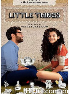 甜蜜点滴 Little Things (2016) 1080P BT磁力 迅雷网盘下载