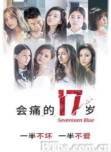 会痛的17岁 会痛的十七岁 左半边翅膀 (2015) 1080P BT磁力 迅雷网盘下载