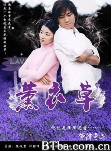 薰衣草（10集全） (2001)  BT磁力 迅雷网盘下载