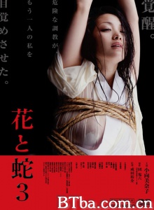 花与蛇3 (2010) 1080P/720P BT磁力 迅雷网盘下载-影音屋