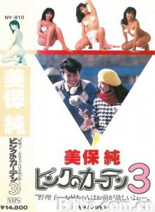 粉红的窗帘3
