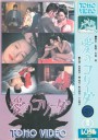 感官世界