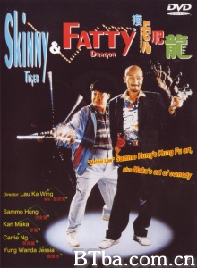 瘦虎肥龙 (1990)  BT磁力 迅雷网盘下载
