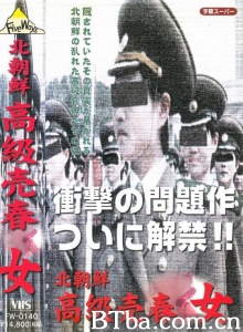 北朝鮮高級売春女