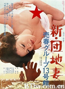 新・団地妻 売春グループ13号館