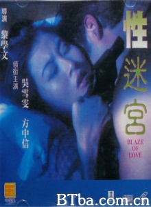 性迷宫 (1994)  BT磁力 迅雷网盘下载