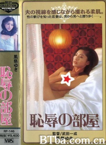 耻辱的房间