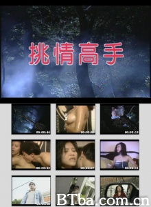 挑情高手