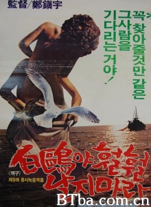 海鸥