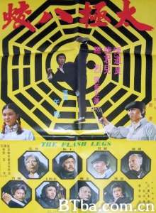 太极八蛟 (1977)  BT磁力 迅雷网盘下载