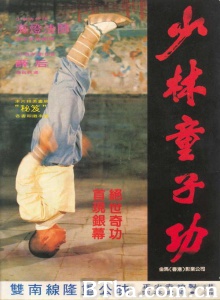 少林童子功 (1984)  BT磁力 迅雷网盘下载