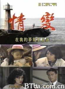 情变（10碟） (1990)  BT磁力 迅雷网盘下载