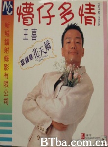 懵仔多情 (1996)  BT磁力 迅雷网盘下载