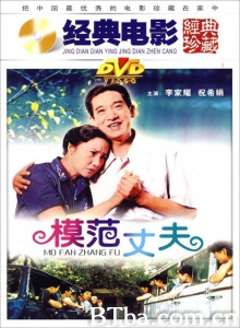 模范丈夫 (1981)  BT磁力 迅雷网盘下载
