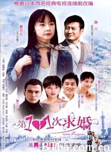 第101次求婚（8碟） (2003)  BT磁力 迅雷网盘下载