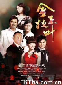 金枝玉叶（48集） (2011)  BT磁力 迅雷网盘下载
