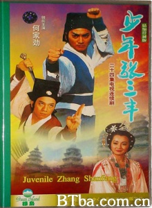 少年张三丰（24集） (1991)  BT磁力 迅雷网盘下载