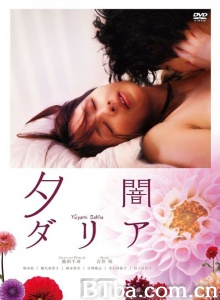 黄昏大丽花