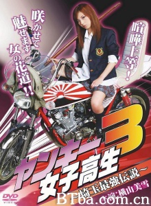 ヤンキー女子高生3 ～埼玉最強伝説～