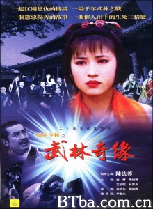 情定少林寺（13集） (1993)  BT磁力 迅雷网盘下载
