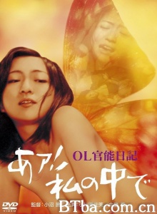 OL官能日记：我在里面