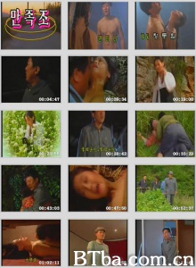 残花泪