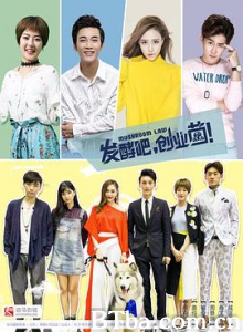 发酵吧，创业菌 Mushroom Law (2018) 1080P BT磁力 迅雷网盘下载