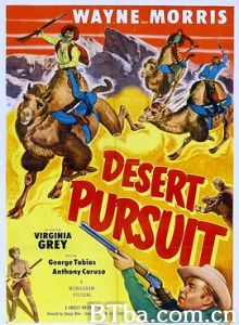 沙漠追逐/Desert Pursuit