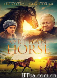 孤马 Orphan Horse (2018) 1080P/720P BT磁力 迅雷网盘下载