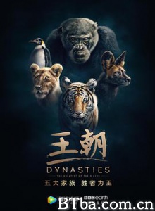 王朝 Dynasties (2018) 1080P/4K BT磁力 迅雷网盘下载